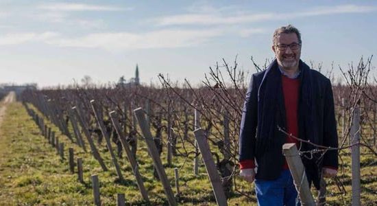 Paul Goldschmidt vigneron dans les AOC Lalande-de-Pomerol et Pomerol