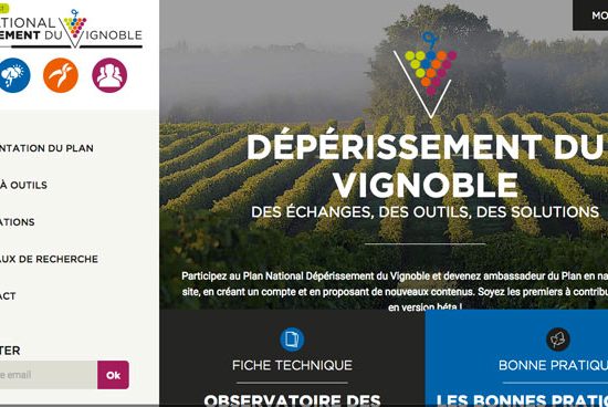 Home Page Plan National Dépérissement Vigne