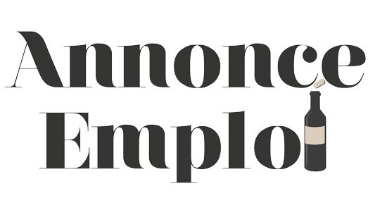 Logo Annonce Emploi