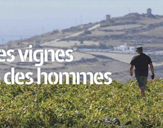 Des vignes et des hommes