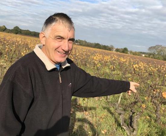 Patrice Héraud, vigneron et président de la coopérative de Clisson.