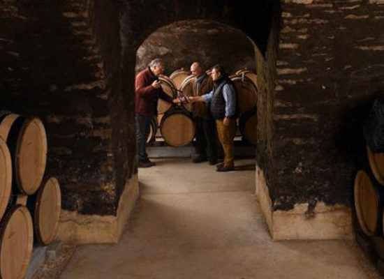 Cave à vin