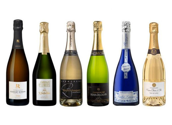 Champagne Tasting Terre des Vins