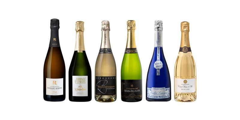 Champagne Tasting Terre des Vins