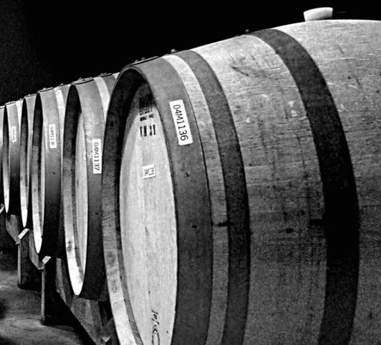 Barrels in a cellar