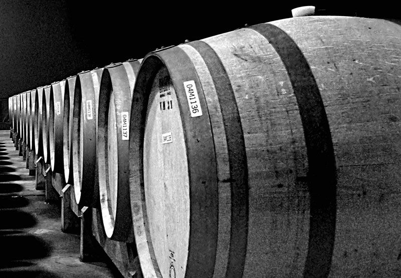 Barrels in a cellar