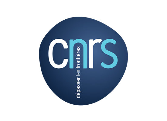 Logo CNRS