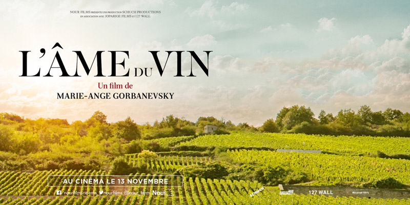 Affiche du documentaire L'âme du vin