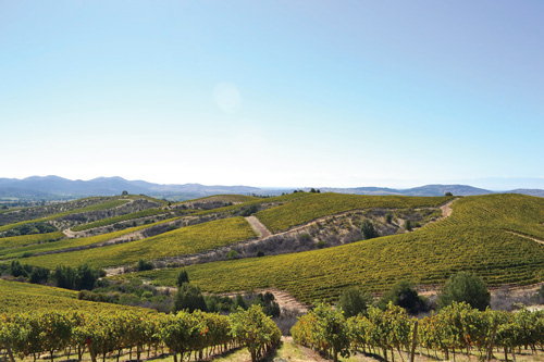 Chiles_Heritage_Wineries_Qunita_de_Maipo_Vineyard_for_Viña_Concha_y_Toro_Courtesy