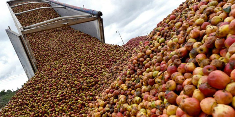 En Normandie, le cidre, qui avait une image ringarde, se refait une jeunesse